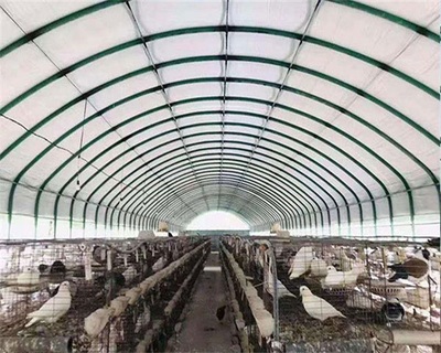 天津泰福包塑管養殖大棚的法律風險與合規建議